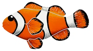 Artistry In Mosaics Clownfish Left Porcelain Pool Design 5" x 9"